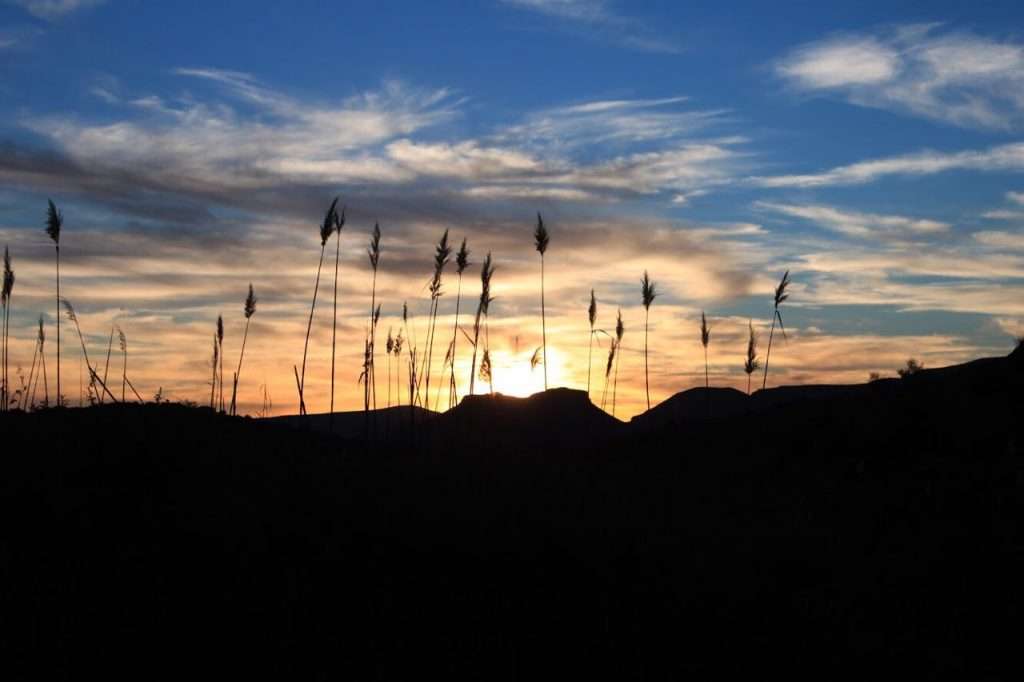 Family Constellations and Expressive Arts Therapy workshop Cape Town - KarooRest